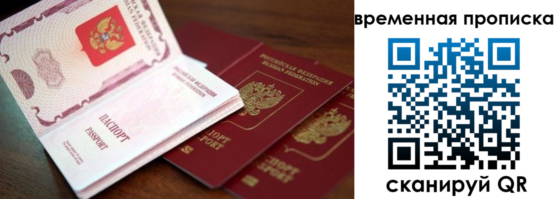 прописка гарантия в Камчатской области